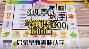 Chinese book for kids English-Chinese Words Picture Dictionary学前识字1000字 幼儿童学前看图识字基础书Chinese Character Picture Book