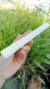 Once pipa tulang sapi ukir gudang garam J76