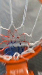 Sports In Style Basketball Hoops Heavy Duty Ring 18 Inch Standard Cable type and Hook type or 16" cable type heavy duty