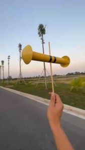 Sáo Diều đơn D30