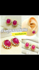 ต่างหูทับทิม p0659 พลอบทับทิม ทองไมครอน ชุบทอง หุ้มทอง แฟชั่น ทองสวย ใส่ออกงาน