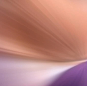 Women Non-wired Bra Cotton ABC cup Baju Dalam Wanita Tiada Wayar Lingerie Bra (36-42 SIZE)