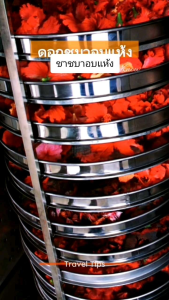 จัด​โปร​ลด20%*ชาสมุนไพร*ชาดอกชบา1กิโลกรัม