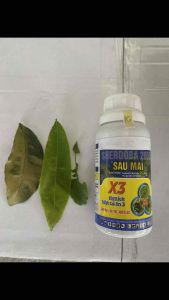 SÂU MAI BỌ TRĨ NHỆN ĐỎ CHAI 240ML PHA 240 LÍT NƯỚC