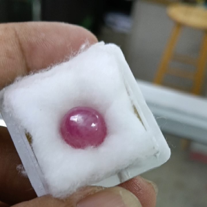 Star Ruby 6.5 carats smooth polished round cabochon