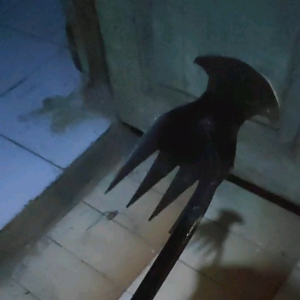 Garpu Taman Baja Karbon & Alat Berkebun Berkualitas Terbaik