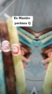 (100 PCS) PLASTIK ES MAMBO/ ES LILIN UK 3X23