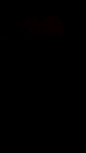 Pet Odor Remover 250ml Menghilangkan bau tak sedap yg ditinggalkan hewan peliharaan