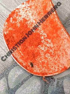 Powder Fly Killer / Anti-langaw / Insect repellent