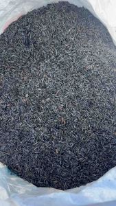 Trấu hun nguyên cánh hàng đẹp túi 35x50cm nhẹ tơi xốp  giúp cải tạo đất hiệu quả