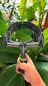 กับดักหนู (กับฟัน)🐀 ขนาด 6นิ้ว 1มัดมี10ชิ้น