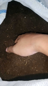 KOHE KAMBING SUPER 1kg cocok untuk segala media tanam