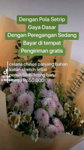 Celana Chino Panjang Pria Warna Cream 27-38 Celana kantor Kuliah Formal Dan Casual