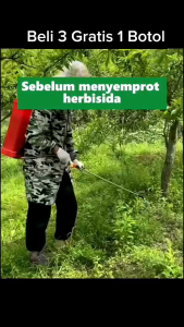 Kill Grass Panda Raja Pembunuh Hama Gulma | Membasmi Lebih Dari 100 Jenis Hama dan Gulma Membandel