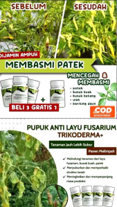 Tricoderma BELI 3 GRATIS 1 250ml Fungisida Pembasmi Jamur Pencegah Layu tanaman Patek Cabai & Busuk Terampuh