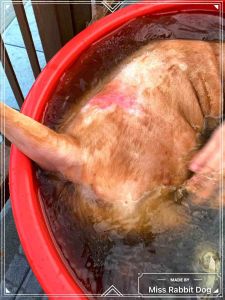 Pet Herbal Medicine Bath Dog Cat Herbal Bath Pack宠物中草药浴包狗狗猫咪皮肤病细菌真菌螨虫脓皮症祛屑止痒/防臭控油专用药浴狗猫咪洗澡祛皮屑螨虫中草药包猫癣狗癣