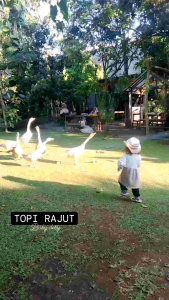 TOPI RAJUT ANAK / TOPI BUCKET ANAK RAJUT LUCU