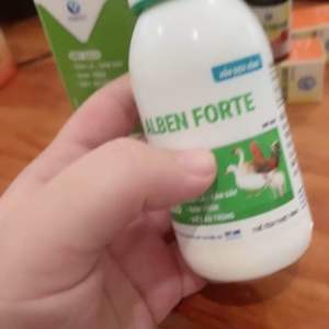 Xỗ lãi chai 100ml chuyên dùng cho gà vịt.