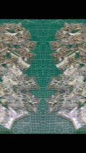 สกรู+น๊อตหางปลา (1ชุด4คู่) เลส304/ธรรมดา