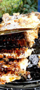 MADU FRESH 500+500gram MURNI NEXTAR HUTAN ACASIA