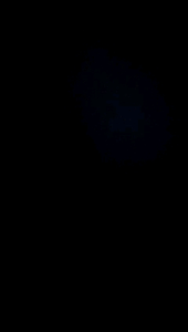 ●ECLAIRE● 003 Blouse Katun Lengan Pendek Shortsleeves Vneck Embroidered Bordir Jahit Motif Floral Flower Bunga Kasual Korea Kerja 5073