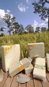 ข้าวหอมมะลิออร์แกนิค(105)2กก.+ ข้าวกล้องหอมมะลิออร์แกนิค(105)3กก.