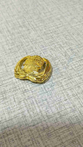 Pin korpri peniti pin ASN
