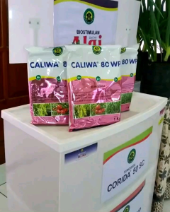 Fungisida Caliwa 80 WP 900 Gram: Panduan Lengkap