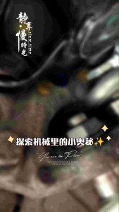 Mercedes W203.W204.W209 Front Lower Arm Adjustable Camber / Caster Kit With Polyurethane Bushing