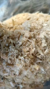 ปลาป่นพม่าปลาหลากหลายชนิดคละ ..1...kilo