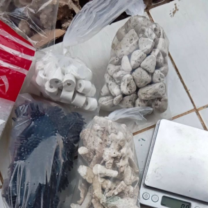 Paket Media Filter 5IN1 Aquarium Aquascape Penjernih Air