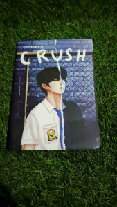 NOVEL CRUSH RAINBONDYS bookpaper