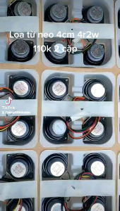 2 Cặp loa toàn dải từ Neo rã từ xe hơi 4 ôm 2w 4cm lỗ ốc 5cm. Giá 4 cái
