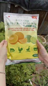 ĐIỆN GIẢI GLUCO K+C thảo dược gói (100g) cung cấp vitamin giúp giải độc giải nhiệt chống stress tiêu viêm tăng cường đề kháng gia súc gia cầm.