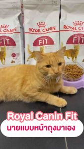 Royal Canin Fit Protein 32 - โรยัล คานิน ฟิต อาหารชนิดเม็ดสำหรับแมวโตเลี้ยงปล่อยอายุ 1 ปีขึ้นไป (0.4 - 10kg)