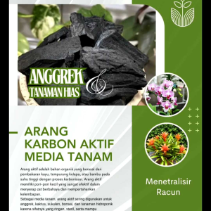 Arang Karbon Aktif Media Tanam Anggrek Kemasan 1kg