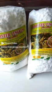 pupuk boster kelengkeng murni 1 kg