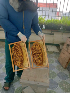mật ong nguyên chất 100%