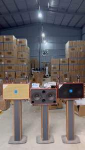 Loa azpro chính hãng _SG10 (HN10plus)bản nâng cấp mới nhất bảo hành 12 tháng trên toàn quốc