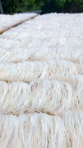 [เส้นหมี่ตากแดด เก็บไว้ได้นาน เส้นเหนี่ยว ผัดง่าย **ขายส่ง** 10 กิโลกรัม เส้นกำยาว](https://www.example.com/product/mice-trap-year-long-live-set-catch-rat-10-glue-traps-large-size)