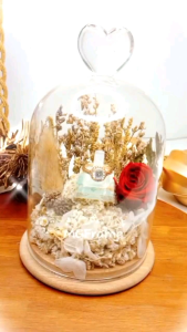 Glass Dome perhiasan ring box preserved flower engagement lamaran kotak cincin