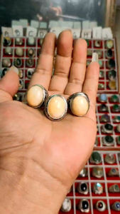 cincin Mani gajah madu natural / cincin batu akik Mani gajah termurah