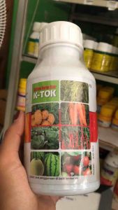 K-Tok 500ML K2O 1802% P2O5 1465% B 7979 ppm Pupuk Cair Mengoptimalkan Perkembangan Tanaman Pada Masa Berbunga Dan Generatif
