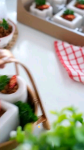 [ 12 pcs ] Cetakan Pudding Viral Nunest Set Plastik 6.5cm / Cetakan Kue Lingkaran Bulat Bintang Bunga