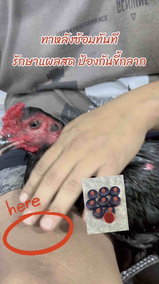 1 ตลับ 🎉 สมุนไพรสำหรับไก่ 🐓 แก้แผลสดและขี้กลาก 10g.(5มหัศจรรย์)