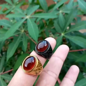 CINCIN Akik Getah Fosil KATILAYU ASLI