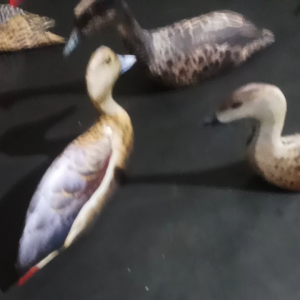 JONTROT / DECOY PATUNG BELIBIS jontrot belibis jebak burung sawah waliwis bebek hutan pikat belibis kembang belibis batu mirip asli tahan penyok