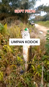UMPAN PANCING KODOK TIRUAN SOFT FROG