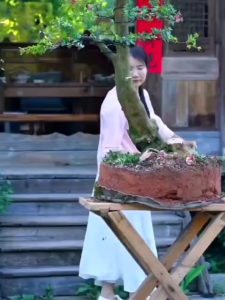 Alat BonsI Berkebun Garukan Akar Ryuga RH-2 Prong Root Rake 23 cm