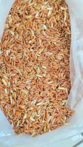 BERAS MERAH PAKAN AYAM BURUNG UNGGAS 1KG